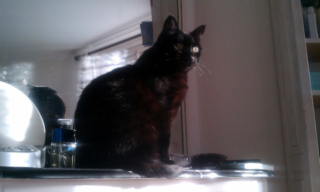 2010-11-02 Mon verre canette_l.jpg